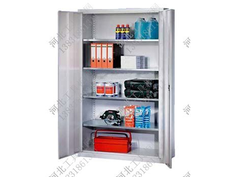 興國縣車間兩門工具柜