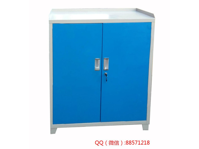梧州兩門(mén)帶沿工具柜