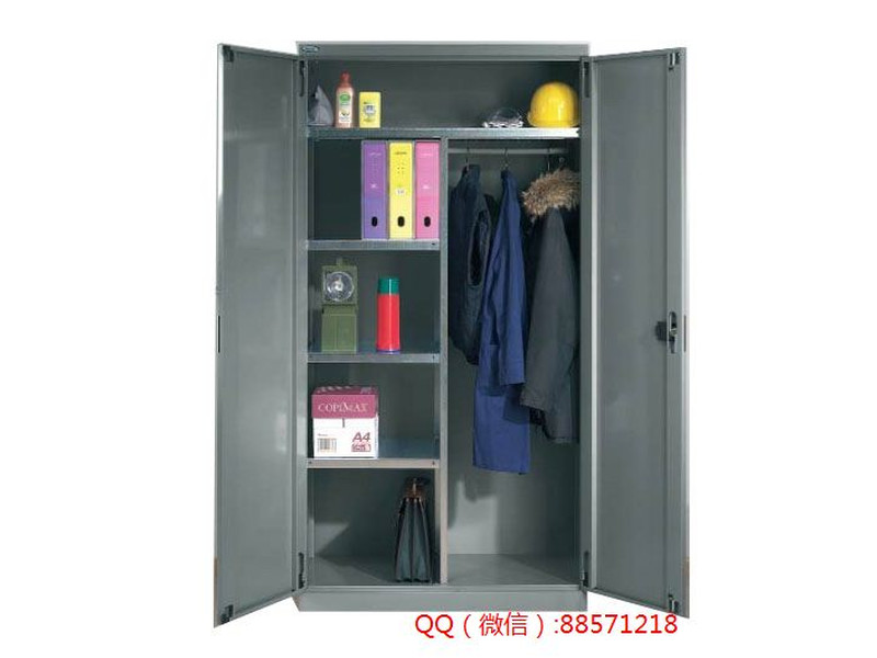 益陽雙門儲物工具柜